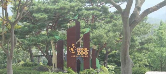 Zoo Séoul