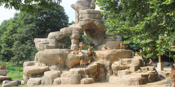 Zoo de Seoul