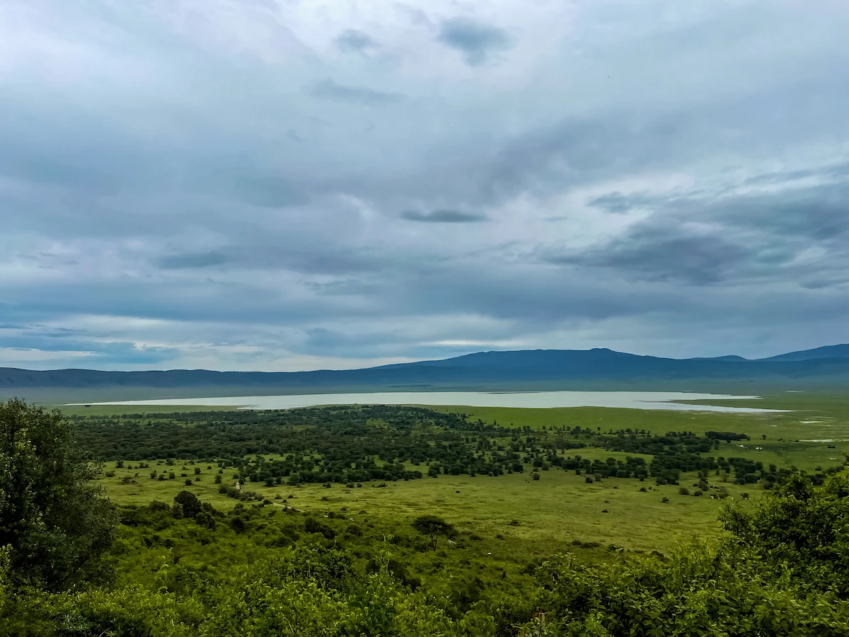 Cratère du Ngorongoro Tanzanie