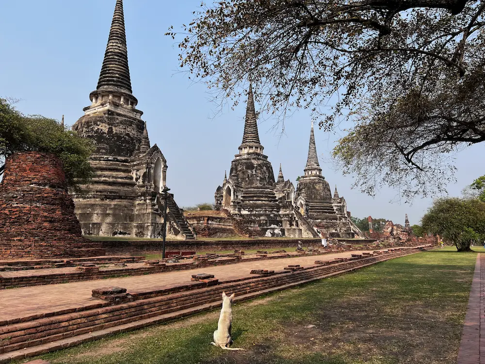 Visiter le parc d'Ayutthaya