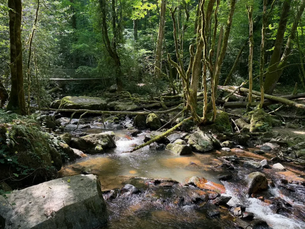 cascade-arifat-passerelle